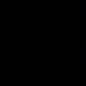 Meet your Posher, Bailey